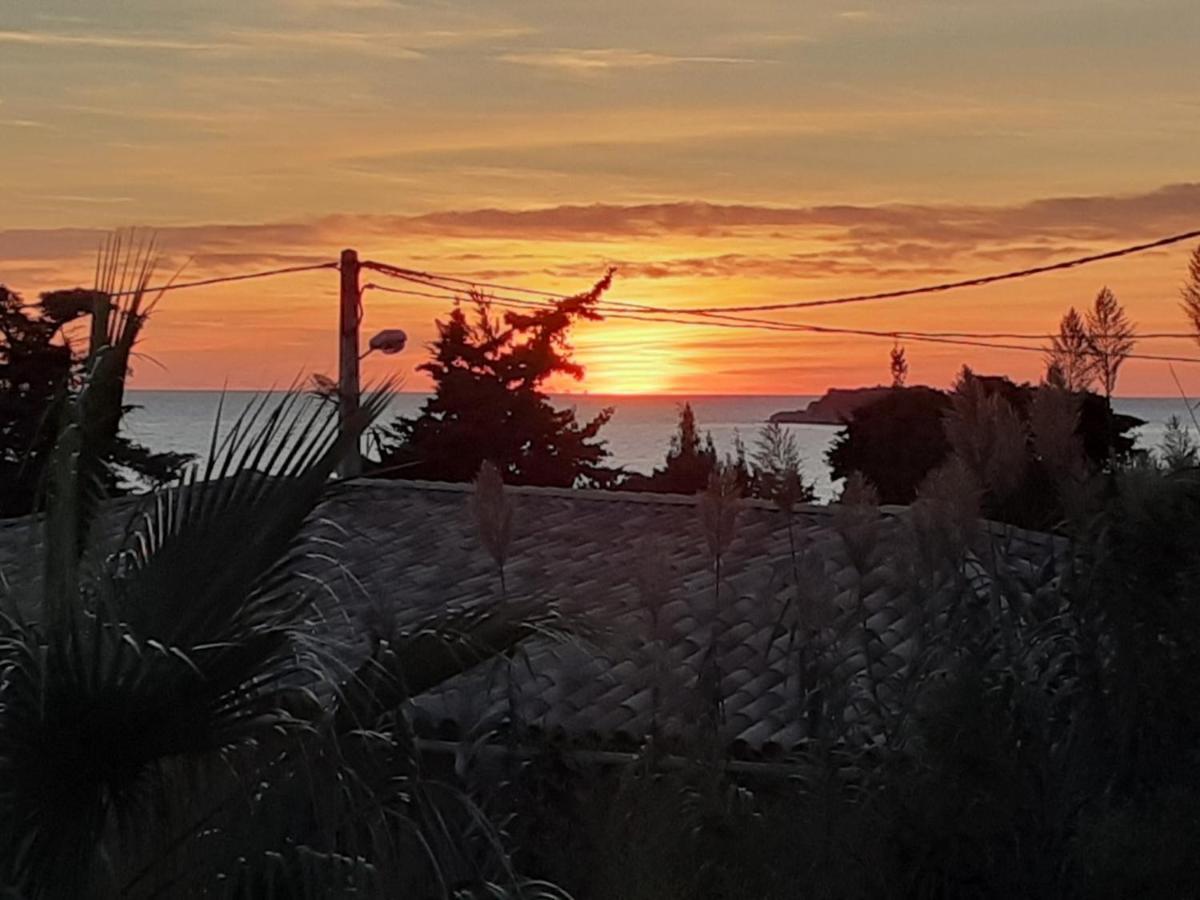 Appartement Terrasse Vue Mer, Plage Gorguette A 1 Minute A Pied, Wifi,Clim Parking Collectif Sanary-sur-Mer Exterior photo